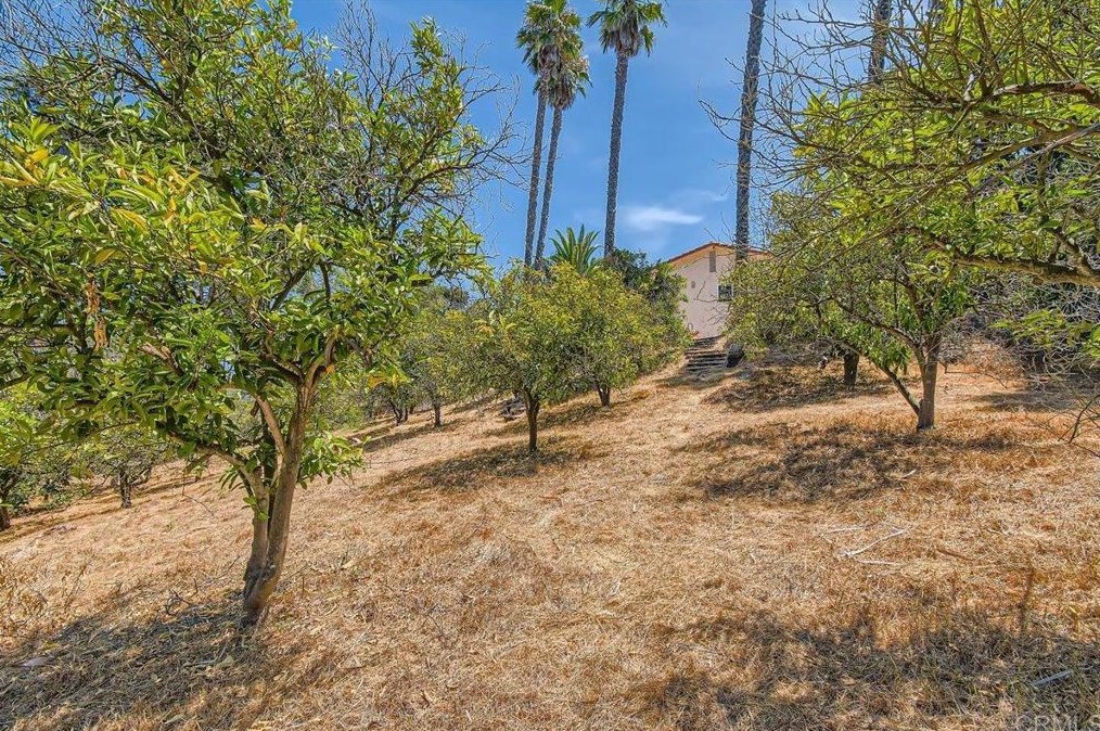1858 Canyon Heights Rd, Fallbrook CA  92028-9784 exterior