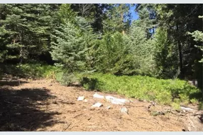  Stonehill Drive, Cedar Glen, CA 92385 - Photo 2