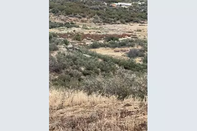 59775 Moonshine Trail, Anza, CA 92539 - Photo 14