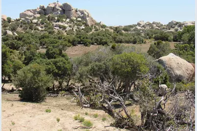 200 Acres McCain Valley Rd, Boulevard, CA 91905 - Photo 18