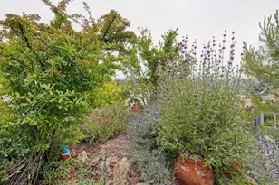 35109 Hwy 79, Warner Springs, CA 92086 - Photo 24