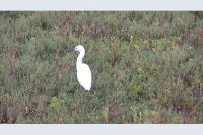 1460 Seacoast #9, Imperial Beach, CA 91932 - Photo 12