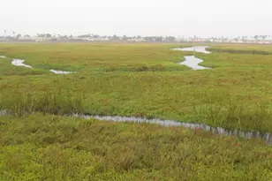 1460 Seacoast, Imperial Beach, CA 91932 - Photo 10