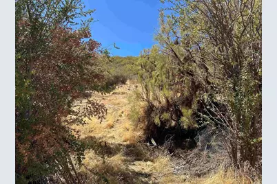 59125 Rimrock Canyon Road, Anza, CA 92539 - Photo 8