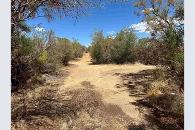 59125 Rimrock Canyon Road, Anza, CA 92539 - Photo 2