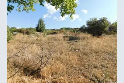 29949 Canadian Honker Road, Campo, CA 91906 - Photo 4