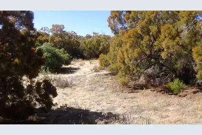 37245 Old Forest Road, Anza, CA 92539 - Photo 12