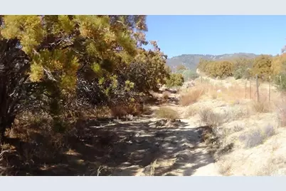 37245 Old Forest Road, Anza, CA 92539 - Photo 6