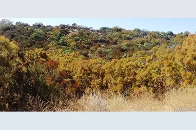 37245 Old Forest Road, Anza, CA 92539 - Photo 32