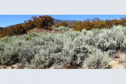 37245 Old Forest Road, Anza, CA 92539 - Photo 34