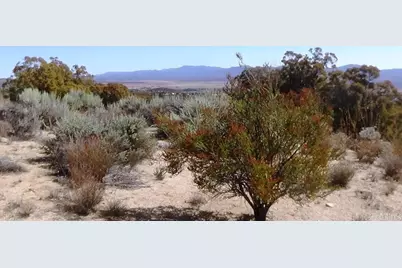 37245 Old Forest Road, Anza, CA 92539 - Photo 22