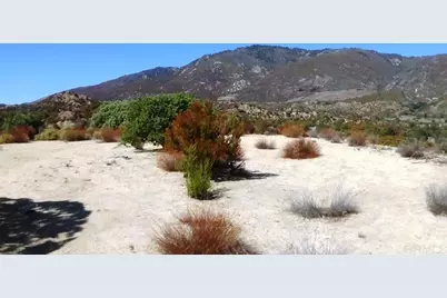 37245 Old Forest Road, Anza, CA 92539 - Photo 2