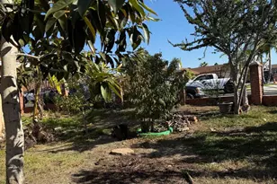 177 Coralwood Dr, San Diego, CA 92114 - Photo 6