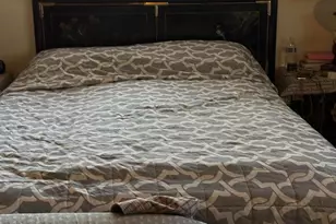 177 Coralwood Dr, San Diego, CA 92114 - Photo 4