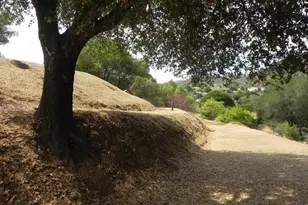 447 Patrick Dr, El Cajon, CA 92019 - Photo 24