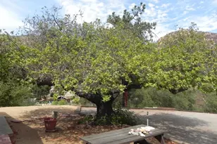 447 Patrick Dr, El Cajon, CA 92019 - Photo 18