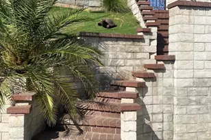 449 Skylark Dr, San Bernardino, CA 92405 - Photo 4