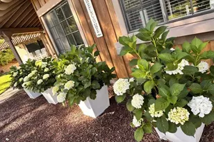 9824 Quail Canyon Rd, El Cajon, CA 92021 - Photo 8