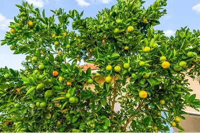 23925 Constantine Dr, Murrieta, CA 92562 - Photo 66