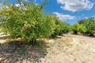 17368 Skyline Truck Trail, Jamul, CA 91935 - Photo 28