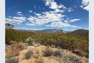 59675 Upper Tule Road, Anza, CA 92539 - Photo 8