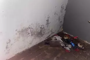 5676 Dehesa Rd, El Cajon, CA 92019 - Photo 8