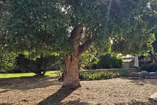 2205 Leon Ave, San Diego, CA 92154 - Photo 58