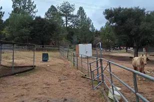 28765 Old Hwy 80, Pine Valley, CA 91962 - Photo 10