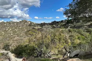 2494 Donnil Ln, Fallbrook, CA 92028 - Photo 48