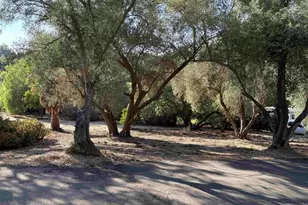 13838 Campo Rd, Jamul, CA 91935 - Photo 12