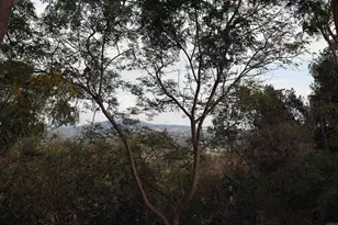 5443 Calzada Del Bosque, Rancho Santa Fe, CA 92067 - Photo 60