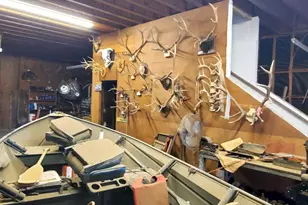 17910 Bluegrass Rd, Ramona, CA 92065 - Photo 42