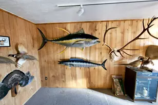 17910 Bluegrass Rd, Ramona, CA 92065 - Photo 12