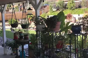 346 Hunter Ct, Alpine, CA 91901 - Photo 24