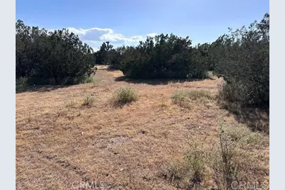  Daisy Road, Oak Hills, CA 92344 - Photo 2