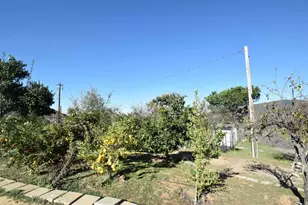 15519 Skyline Truck Trail, Jamul, CA 91935 - Photo 6