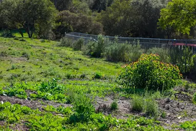 0 Lilac Lane, Alpine, CA 91901 - Photo 20