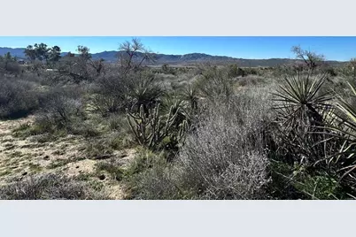 0 Rincon Ridge Road, Anza, CA 92539 - Photo 6