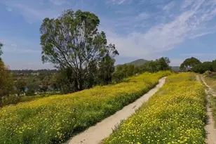 5700 Baltimore Dr, La Mesa, CA 91942 - Photo 46