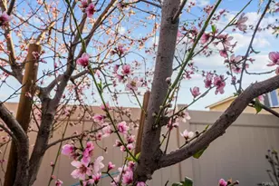 28428 Fressia Dr, Winchester, CA 92596 - Photo 40