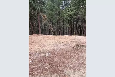 4952 Sierra Springs Drive, Pollock Pines, CA 95726 - Photo 2