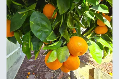 1212 H St #95, Ramona, CA 92065 - Photo 6