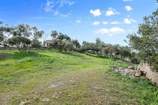 2157 Via Dieguenos, Alpine, CA 91901 - Photo 28