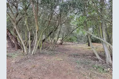 616 Alpine Heights-20Acres, Alpine, CA 91901 - Photo 42