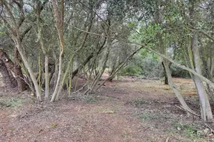 616 Alpine Heights-20Acres, Alpine, CA 91901 - Photo 42