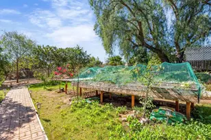 2919 Pioneer Way, Jamul, CA 91935 - Photo 46