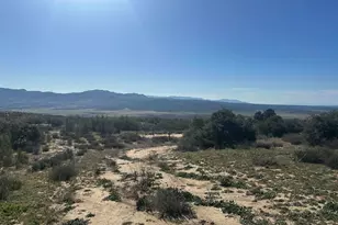 40368 Elm Brush Trl, Anza, CA 92539 - Photo 1