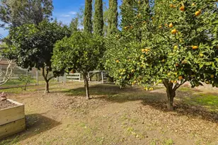 11469 Lorena Ln, El Cajon, CA 92020 - Photo 32