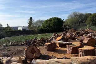 3536 Ybarra Rd, Spring Valley, CA 91978 - Photo 42