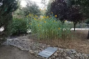 8075 Buckthorn Trail, Pine Valley, CA 91962 - Photo 32